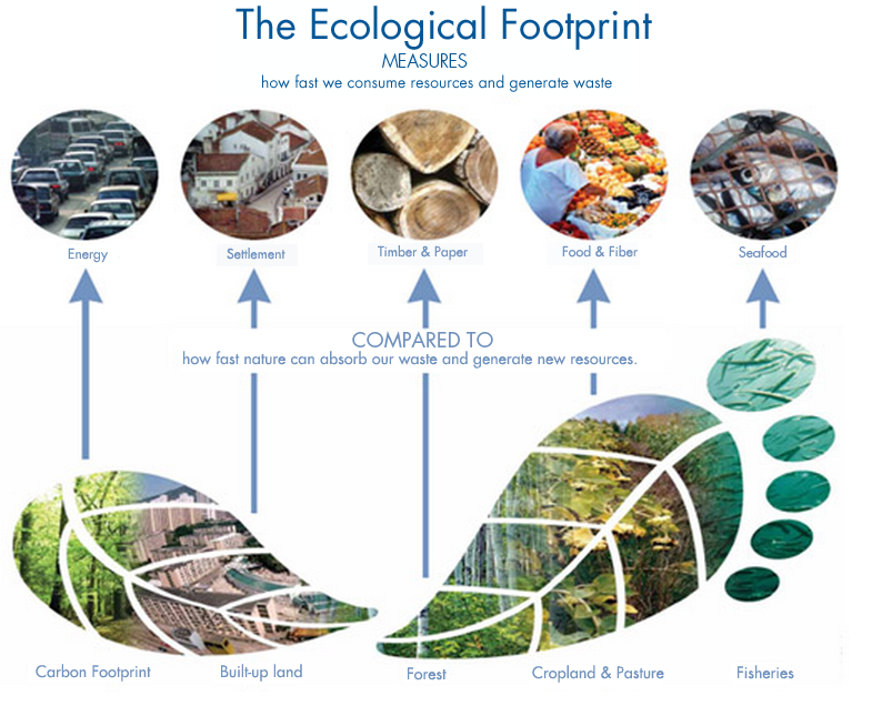 ceip-esperanza-5th-grade-natural-science-ecological-footprint