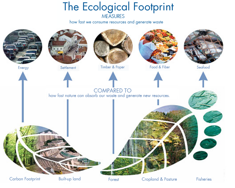 Ecological Footprint infographic