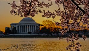 sunset view of Jefferson Memorial in Washington DC