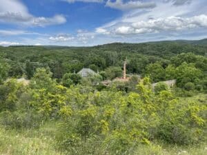 Factory in Forest